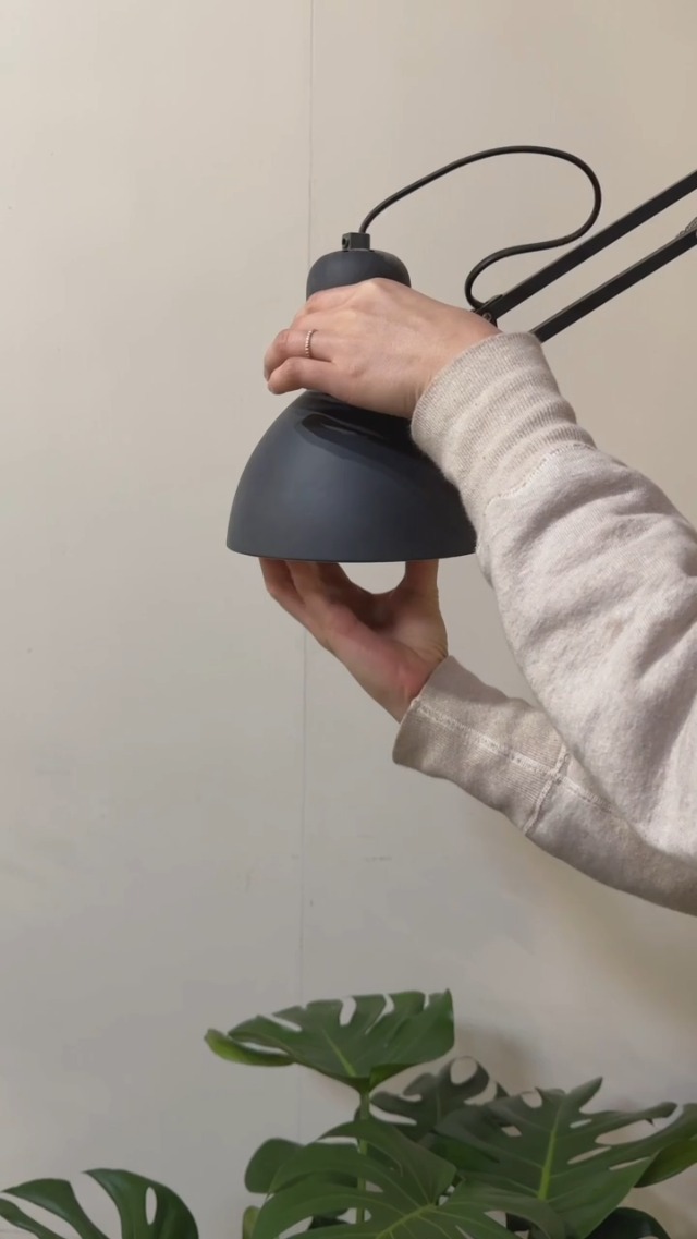 Amazon.co.jp: PLANTS NEXLIGHT ホワイト WHITE プランツネクスライト